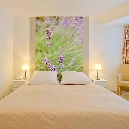 Hotel Havel